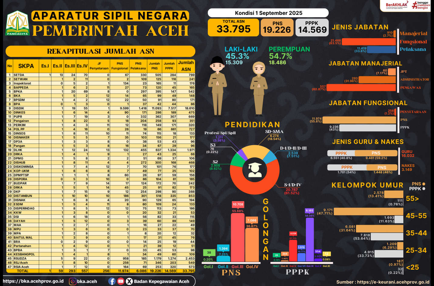 Data Statistik ASN di Lingkungan Pemerintah Aceh Tahun 2024